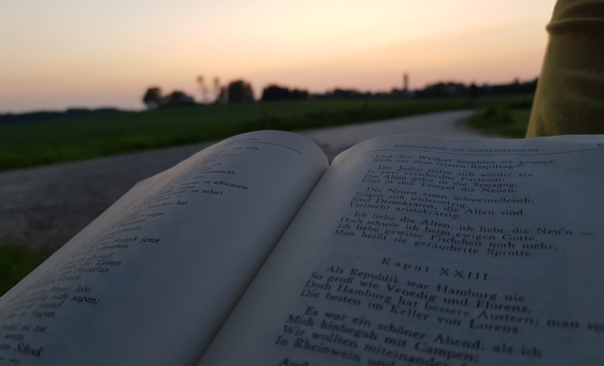 Heinrich Heine lesen im sonnenuntergang